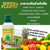 ราคา อาหารเสริมและวัคซีน สำหรับพืช Superplanto (28240172741)
