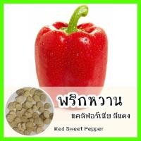 ราคา พร้อมส่ง ❗ รหัส 115 เมล็ดพันธุ์ OP แท้ พริกหวานแคลิฟอร์เนียสีแดง - Red Sweet Pepper เมล็ดพันธุ์นำเข้า เมล็ดพริกหวาน (9957510106)