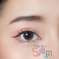 ราคา Mini Bom Gray/Brown By Kitty Kawaii ค่าสายตาสอบถามได้ในแชทก่อนสั่งซื้อนะคะ (25960912046)