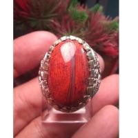 ราคา เรดแจสเปอร์ (ตับไก่) เคนดิท (41927932120)