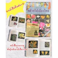 ราคา หนังสือมือสอง กล้วยไม้เมืองไทย หนังสือรวบรวมพันธุ์กล้วยไม้ หนังสือความรู้ ดอกไม้ (41158866960)