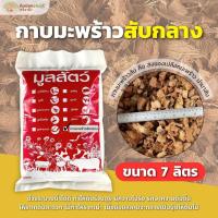 ราคา กาบมะพร้าวสับกลาง (7 ลิตร) กาบมะพร้าวสับ (กรุณาสั่งซื้อไม่เกิน 7 ถุงต่อ 1 ออเดอร์) (48750237276)