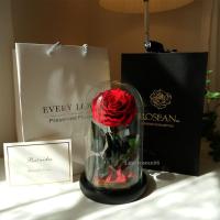 ราคา กุหลาบอมตะ กุหลาบในโหลแก้ว โดมขนาดL กุหลาบวาเลนไทน์ ดอกไม้วันเกิด ของขวัญวันครบรอบ ช่อกุหลาบแดง (4361837414)