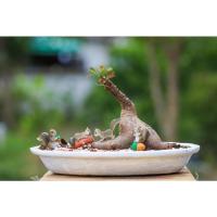 ราคา มะยมเงินมะยมทอง 2หัว ติดใบแล้ว ส่งพร้อมวัสดุปลูก(ดิน เม็ดป้อปเปอร์) (10525121867)