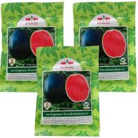 ราคา เมล็ดพันธุ์แตงโม ซันแบล็คเอ็กซ์แอล บรรจุ 1000 เมล็ด ตราศรแดง (26342853371)