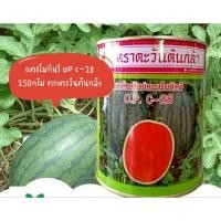 ราคา เมล็ดแตงโม กินรี ตราตะวันต้นกล้า ขนาด 250 กรัม หวาน อร่อย แตงโมกินรี (14697731925)