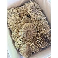 ราคา ปลาวงจิ๋วพิเศษ ปลากระเบนวง เค็มเล็กน้อย อาหารทะเลแปรรูป (43719183801)