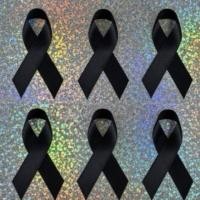 ราคา ริบบิ้นไว้อาลัยสีดำ เข็มกลัดไว้อาลัย โบว์ไว้อาลัย เข็มกลัดซ่อนปลาย พร้อมใช้งานทันที ✨ (47301016134)