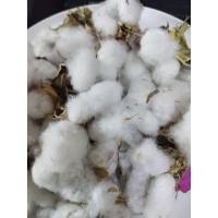 ราคา ดอกฝ้ายออแกนิคตากแห้งพร้อมเมล็ด25ดอก (28282852954)