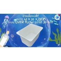 ราคา อ่างเลี้ยงปลาสีขาว อ่างเปล่าขาว ขนาด 42x30x23 CMระบบover flow เลี้ยงปลาสวยงาม อ่างเลี้ยงปลา อ่างปลาบอลลูน อ่างปลาเมดากะ (47353968301)