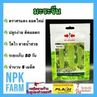 ราคา ผักซองศรแดง มะระจีน กรกต จำนวน 5 เมล็ด/ซอง หมดอายุ 02/07/2568 งอกดี ปลูกง่าย ติดผลดก โตไว ลายน้ำสวย (29012012763)