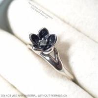 ราคา แหวนเงิน Pandora Mystic Floral Ring ของแท้100% (6550319638)