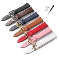 ราคา 6-24 มม.คลาสสิกหนังแท ้ สายนาฬิกา Retro Cowhide ลูกวัวหนังวัว 16 มม.18 มม.20 มม.22 มม.24 มม.สําหรับ Seiko ที ่ มีสีสัน Watchbands ผู ้ ชายผู ้ หญิงสร ้ อยข ้ อมือ (25677285354)