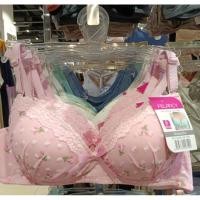 ราคา FELANCY WIRELESS BRA CUP B MOTIF SIZE 32-36 (45750077084)