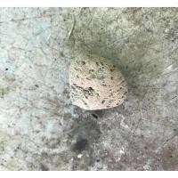 ราคา หินพัมมิส หินภูเขาไฟ (5542830693)