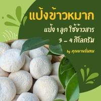 ราคา [แพ็ค 100 ลูก] แป้งข้าวหมาก - แป้งข้าวหวาน / แป้งมีเชื้อสาโท ทำสาโทได้ / แป้งสาโท / หวานไม่ต้องเติมน้ำตาล (23325814139)