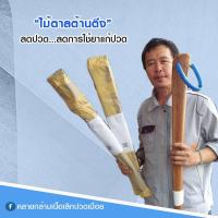 ราคา ไม้ตาลต้านตึง คลายกล้ามเนื้อ แก้ปวดเมื่อย (2407599391)