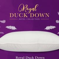 ราคา ROYAL DUCK DOWN FEATHER PILLOW & ROYAL GOOSE DOWN FEATHER PILLOW - BANTAL HOTEL (48302553060)