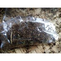 ราคา เมล็ดพันธุ์หอมแย้คัดจากหอมแย้พันธุ์ดี (16161823770)