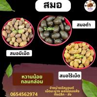 ราคา สมอเทศ สมอชะเอม สมอสมุนไพร สมอไร้เม็ด (18583302390)