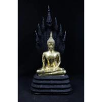 ราคา พระพุทธนาคปรก พระนาคปรก วัดนาคปรก ปี2548 เนื้อทองเหลือง หน้าตัก9นิ้ว (40162164603)