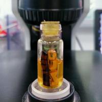 ราคา รักยม รุ่นแรกหลวงพ่อฤทธิ์ วัดประชารังสรรค์ บุรีรัมย์ (3235028289)