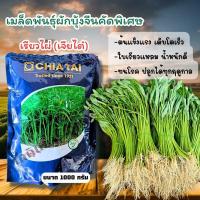 ราคา เมล็ดพันธุ์ผักบุ้งจีนเรียวไผ่ (เจียไต๋) ขนาด 1 กก. (27701603166)