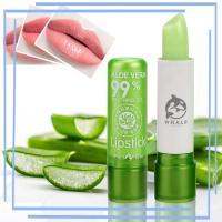 ราคา ลิปบาล์ม ลิปว่านหางจระเข้ อโลเวร่า ลิปอโลเวร่า Aloe vera 99% เพิ่มความชุ่มชื้น ติดทนนาน กันน้ำ (25659156501)