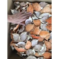 ราคา กระดองปูตากแห้ง (150 กระดอง/แพ็ค) (6259353743)