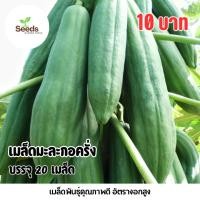 ราคา เมล็ดมะละกอครั่ง บรรจุ 20 เมล็ด (55901008729)