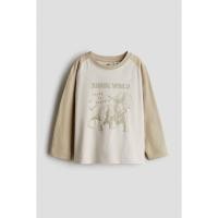 ราคา H&M(เอชแอนด์เอ็ม) เสื้อยืดแขนยาวพิมพ์ลาย Boys Printed long-sleeved T-shirt 1309027_1 (47701606144)