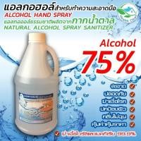 ราคา แอลกอฮอล์ 75% ขนาด 1.5 ลิตร (5036454128)