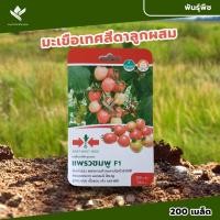 ราคา ศรแดง เมล็ดพันธุ์มะเขือเทศสีดา แพรวชมพูF1 (East-West Seed) เมล็ดพันธุ์ผัก เมล็ดพันธุ์ ผักสวนครัว ตราศรแดง (25962246535)