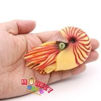 ราคา Monkey Toys - โมเดลสัตว์ Nautiloid หอย งวงช้าง ส้มแดง ขนาด 9.50 CM (จากหาดใหญ่) (14187282354)