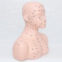 ราคา การจัดการผิวหัวรุ่นร้านเสริมสวยหัวหุ่นจำลองใบหน้านวดฝังเข็มฝึกรุ่นหัว (52301540072)