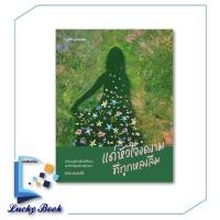 ราคา หนังสือ แด่หัวใจงดงามที่ถูกหลงลืม ผู้เขียน: นักสะสมผีเสื้อ สำนักพิมพ์: Springbooks (25187000313)