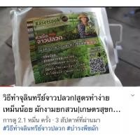 ราคา หัวเชื้อจุลินทรีย์จาวปลวก เหม็นน้อยช่วยย่อยสลายเพิ่มจุลินทรีย์ที่ดีในดินแบบผงแบรนด์เกษตรสุขกลางกรุง (14298039400)