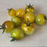 ราคา 20 เมล็ด มะเขือเทศ ผักออแกนิค ผักสวนครัว ปลูกง่าย Tomato Vegetable Seeds สายพันธุ์ Napa Chardonnay (42973662445)