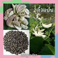 ราคา เมล็ดถั่วแปบสีขาว (พันธุ์เนื้อ ฝักใหญ่) 20/50เมล็ด เมล็ดถั่วแปบพันธุ์เนื้อ (16731071723)
