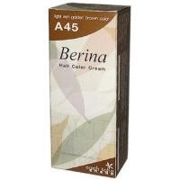 ราคา Berina – A45 สำหรับท่านที่ต้องการเปลี่ยนสีผม (5805841)