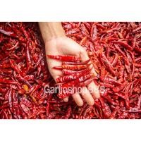 ราคา พริกแห้งเด็ดก้านศรีสะเกษ แท้ พริกจินดาเด็ดก้าน พริกแห้ง พริกป่น พริกส้มตำ เผ็ด ครึ่งกิโลกรัม ผลิตพรรณชาวบ้านศรีสะเกษ (57752020144)