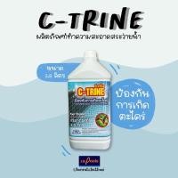 ราคา C-Trine ป้องกันการเกิดตะไคร่ น้ำยาทำความสะอาดสระ สระว่ายน้ำ ดูแลสระ ทำความสระอาดสระ อุปกรณ์ทำความสะอาดสระ อุปกรณ์ดูแลสระ (17354892796)