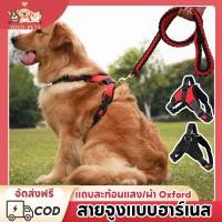 ราคา สายจูงสุนัข สายรัดอกสุนัข เสื้อรัดอกสัตว์เลี้ยง พันธุ์กลาง-ใหญ่ Dog Harness รูปตัวYแบบสะท้อนแสง (42710746485)