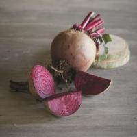 ราคา ต้นพันธุ์ บีทรูท (Beetroot) ถุงดำพร้อมปลูก 29 บาท บีทรูท หรือ ผักกาดฝรั่ง สีแดง (42420940173)