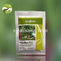 ราคา เมล็ดพันธุ์ พริกหนุ่มเขียว หนุ่มเขียว 51 ลอตใหม่ล่าสุด❗️❗️ (29223604232)