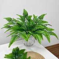 ราคา เฟิร์นนาคราชมัด พร้อบใบไม้ (24422229153)