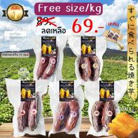 ราคา Oishi-Fresh มันหวานญี่ปุ่นแท้ 5 ยี่ห้อเผาพร้อมทาน เนื้อเหลือง หอม หวาน 300 ก.1-2 หัว จัดส่ง 24 ชม. (15019311052)