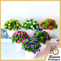 ราคา ดอกไม้ประดิษฐ์พลาสติกกระถางดอกไม้ต้นไม้ตกแต่งตกแต่งบ้าน มาลาลิวก้า ต้นไม้ โมติฟ (21560208178)