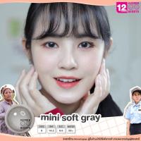ราคา Mini Soft Gray/สีเทา [สายตาสั้น -0.00 ถึง -10.00] Size Mini (S) ขนาดเล็ก / คอนแทคเลนส์ / ยี่ห้อ Kitty Kawaii (9855222498)
