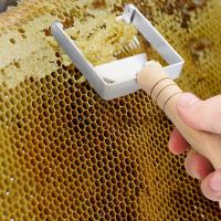 ราคา สแตนเลสส้อมตัดผึ้งการเลี้ยงผึ้งพิเศษตัดน้ําผึ้งพิเศษมีดกล่องผึ้งชุดเต็มชุดมีดตัดผึ้งเครื่องมือการเลี้ยงผึ้ง11.21 ก (51151938433)